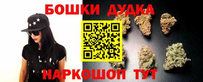 тгк Будённовск